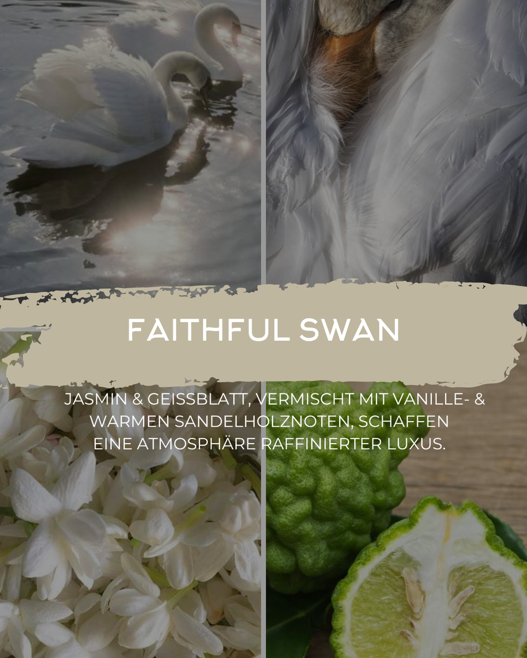 Duftkerze Faithful Swan