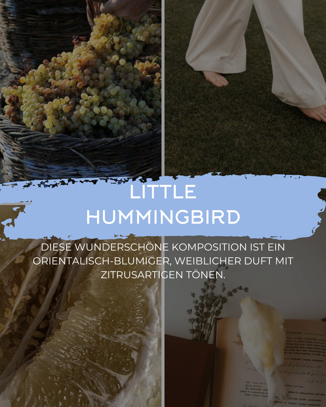 Duftkerze Little Hummingbird