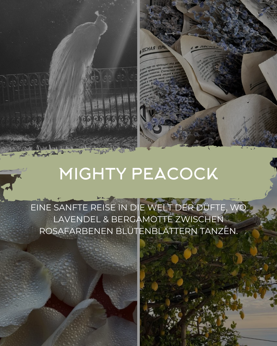 Duftkerze Mighty Peacock