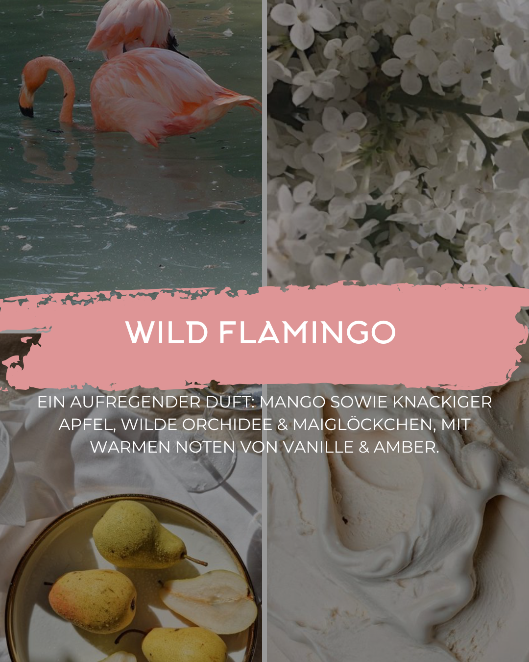 Duftkerze Wild Flamingo
